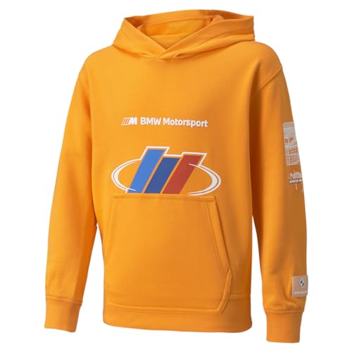 PUMA Kids Boys Bmw Mms Street Logo Hoodie Athletic Outerwear Casual - Orange