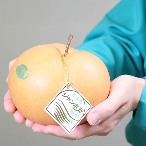 [\12/2ȍ~] W{Ȃ   mY 2.0kg 2ʓ G Ƃ悽̗ ϔ