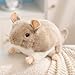 Imagen de HOMEXYLYL Peluche de Chinchilla