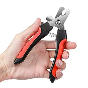 Dognailsclipperstrimmerwithsafetyguardtoavoidovercuttingrazorsharpbladeswithbonusdognailfilecatclawclipperswithsturdynonsliphandlesforpetsdogcatredblack  Cucciolini Doodles   cucciolini doodles