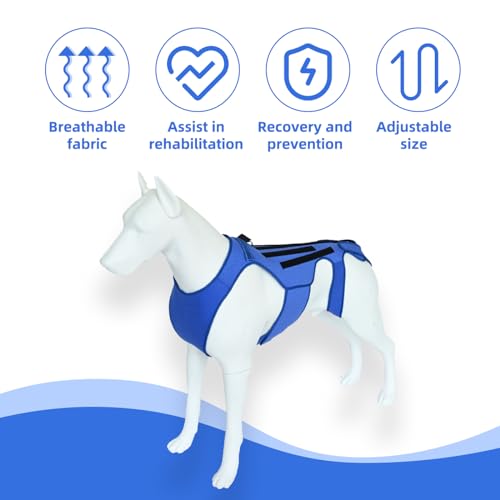 Image of Dog Back Brace for Dogs Arthritis, Dog Intervertebral Disc Protective, Dog Back Protective Brace Helps Pain Relief, Facilitate Surgical Recovery, Prevent Back Diseases in Dogs. (L)