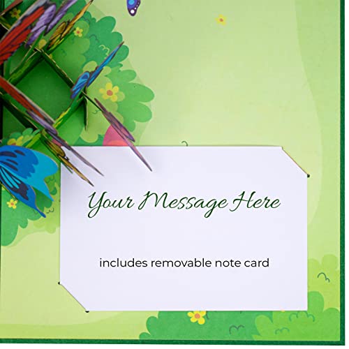 Paper Love 3D Pop Up Card, Butterflies, For Summer, Birthday, Graduation, Thank You, Mothers Day, Valentines Day, All Occasions - 5" X 7" Cover - Includes Envelope And Note Tag #TOP5