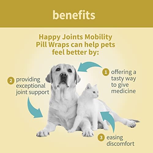 Why Do Dogs And Cats Have Ear Pockets