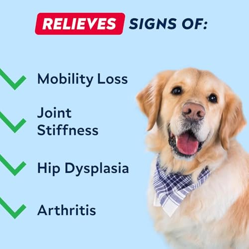 STRELLALAB Glucosamine Treats for Dogs - Joint Supplement w/Omega-3 Fish Oil - Chondroitin, MSM - Advanced Mobility Chews - Hip & Joint Care - 60 Count (Pack of 1) Bacon - Image 3