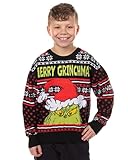 Dr. Seuss The Grinch Ugly Sweater for Christmas Kid's Merry Grinchmas Knit Pullover (X-Large) Multicolored