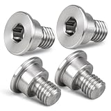Bevinsee 4pcs Stainless Steel Disc Brake Rotor Set Screw Replace 34211161806 Compatible with BMW E36 E46 E90 E92 F30 F31 F34, 320i, 325i, 328i, 330i, 335i, X1 X2 X3 X4 X5 X6 Z3 Z4 Z8