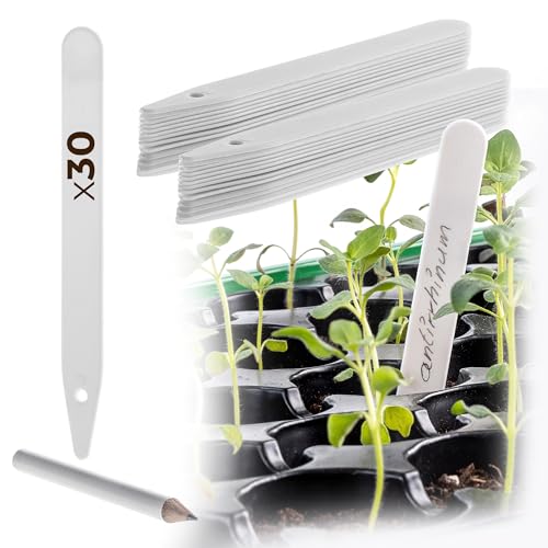 KADAX Lot de 30 étiquettes pour plantes en plastique, résistantes aux intempéries, pour étiquetage, étiquettes de jardin, étiquettes pour plantes, étiquettes d'herbes