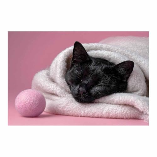 Art poster animaux chat moderne pour décoration de chambre et salon couleur rose29 50x70