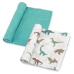 Have a T-rexcellent Day 2 Pack