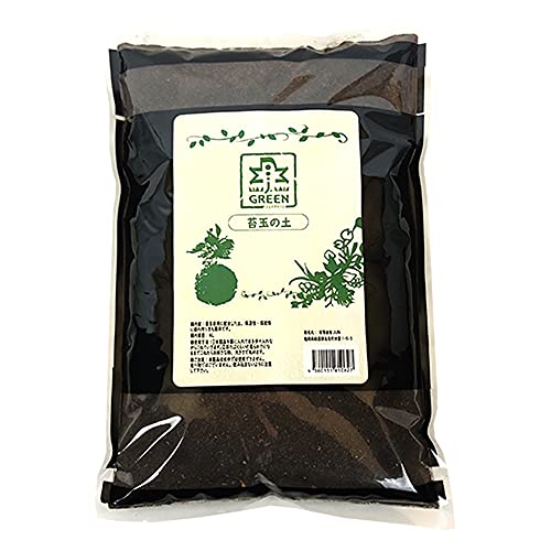 W (JUN) ۋʂ̓y 2.5L