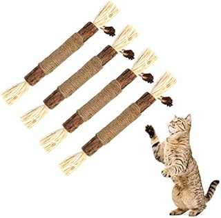 olyee Silvervine Chew Sticks, Natural Cat Teeth Nip Cleaning Teeth Chew Catnip Toys for Indoor Cat Teeth Cleaning Kitten Teething and Stress Release