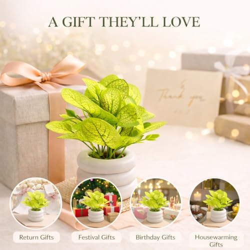 Image of Artificial Mini Potted Plant with Modern White Ceramic Zen Pot - Faux Greenery for Home Decor, Office Desk, Kitchen & Bedside - Realistic Lifelike Leaves, Small Decorative Indoor Plant for Gifting