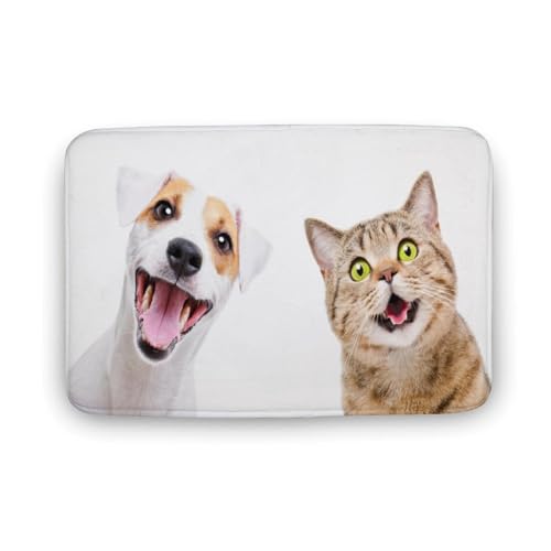 Č  L  oX}bg z/唻 փ}bg  O    ~ Aj LN^[ @}bg   ʏ