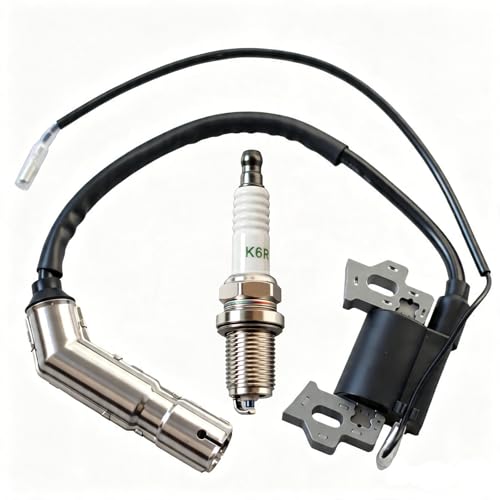 20001042 Ignition Coil with Spark Plug