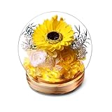 WSQCRDXW Preserved Sunflower and Rose Glass Dome with LED Lights,Wooden Base, for Valentine's Day, Mother's Day, Birthday,Christmas,for You to Send Love for All Occasions, for Indoor Decoration