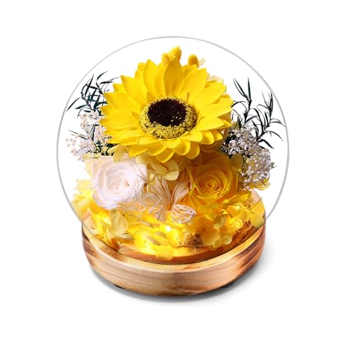 WSQCRDXW Preserved Sunflower and Rose Glass Dome with LED Lights,Wooden Base, for Valentine's Day, Mother's Day, Birthday,Christmas,for You to Send Love for All Occasions, for Indoor Decoration