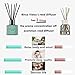 Binca Vidou Reed Diffuser Set of 3, Lavender, Rose, Vanilla Aromatherapy Oil Diffusers for Bedroom, Living Room, Office, Gift & Stress Relief, 50ml x 3