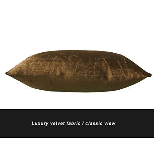 Image of GIGIZAZA Decorative Lumbar Pillow Covers,12x20 Chocolate Velvet Cushion Covers,Sofa Couch Pillow Cover Set of 2