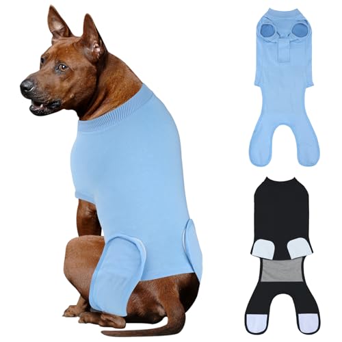 QUEARN 2pbN ʋC Rbg  Jo[X[c Dp̕nveN^[p vtFbVirߖh~ W[ j  ybg pp XL ubN u[ sA