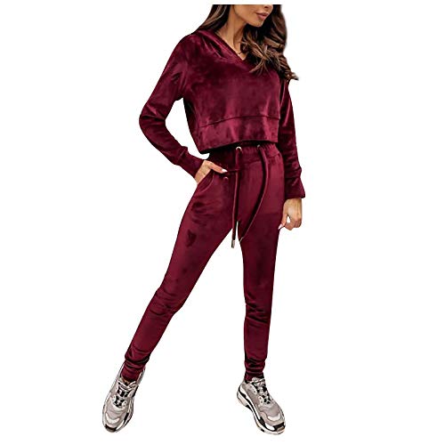 Women's 2 Piece Outfits Joggers Sets Sweatshirt Suits - Hoodie Pullover + Sweatpants Velvet Track Suits