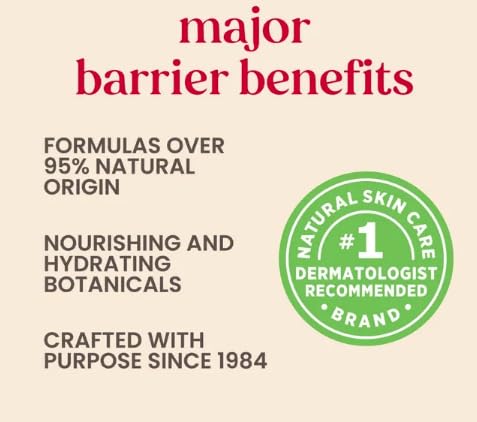 Image of B.ur t Bes Lip Balm (Set of 4) | 4 Lip Balms