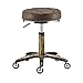 GCX Friseurhocker, spezieller Rollhocker für Schönheitssalons, Friseursalons, Maniküre, Haarschneide-Drehhocker, fest (Farbe: Braun-B)