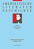  Amerikanische Literaturgeschichte