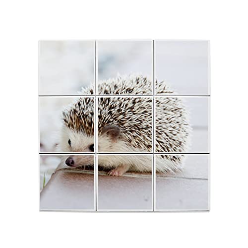 Carreaux céramique hérisson blanc décorations murales 60x60 cm