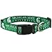 Pet Goods NCAA Michigan State Spartans Dog Collar, Large