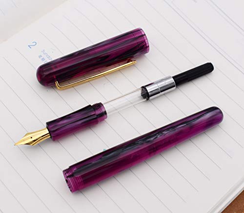 Lanxivi PICASSO 975 PURPLE FP US Picasso Etsandy Aurora 975 Fountain Pen, Germany Iridium Fine Nib, Purple Celluloid thumb #2