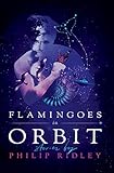 Flamingoes in Orbit
