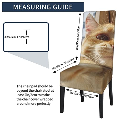 Chair Covers For Dining Room Funny-Dragon-Orange-Cat-Selfie Dining Chair Slipcover For Kitchen,Hotel,Restaurant #TOP1