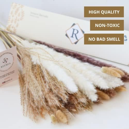 Pampas Grass Bouquet, 60 Pieces 43cm 16.9 of Fluffy Dried Flowers, White Brown Bunny Tails & Reed Stems for Home Decor Wedding & Aesthetic Bedroom Accessories, Boho Scandi Design REEMIA