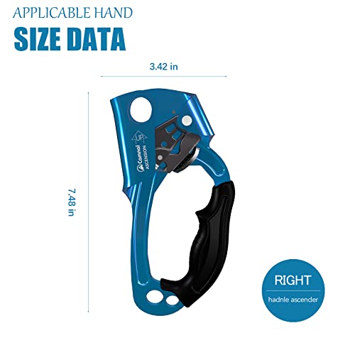 CAMNAL アッセンダー