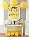 JeVenis Set of 2 Bumble Bee Monthly Photo Banner - First Year and Birthday Decoration - 12 Month Bee Banner for 1st Birthday