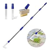 Crack Weeder Tool Long Handle