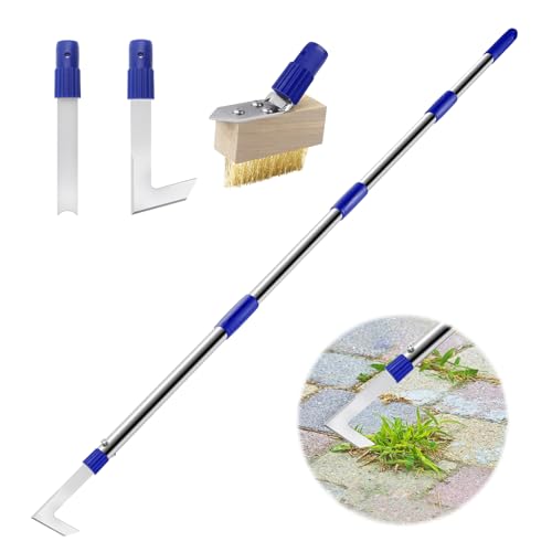 Crack Weeder Tool Long Handle