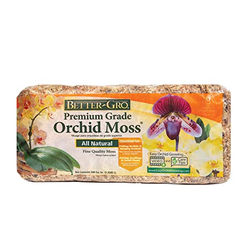 Does Moss Grow in the Sun and Types of Moss That You Can Grow