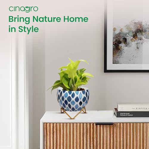 Image of CINAGRO Metal Flower Vase Planter Pot with Iron Stand, Pots for Plants, Plant Pots for Home Decoration, Succulent Pot, Indoor Planter Garden Decor (Size: 6X6 inch) Style: Seaside Serenity