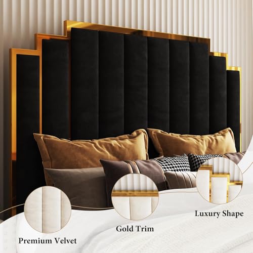 Image of AMERLIFE California King Size Upholstered Bed, Modern Velvet Bed Frame with 65.4 inch Tall Gold Trim Headboard, No Box Spring Needed, Black