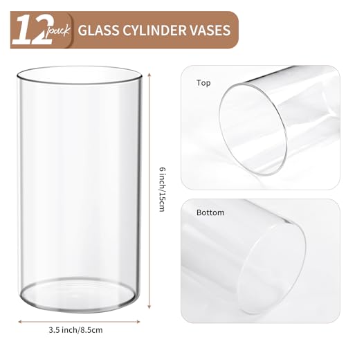 image for YMHPRIDE 12 Pack Glass Cylinder Vases for Centerpieces,Wedding Flower 