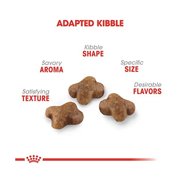 ROYAL CANIN Feline Health Nutrition Kitten Dry cat Food, 15-Pound by Royal Canin – Bild 3