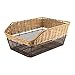 predolo Bicycle Rear Basket Storage Box Easy to Install with Elastic Net Cargo Rack Bike Basket for Grocery Shopping Picnic Men Women, Brown