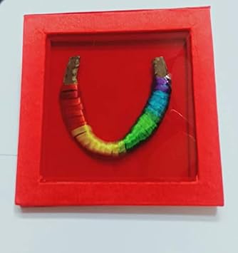 Original Iron Horse Shoe -Kale Ghode Ki Naal for Protection