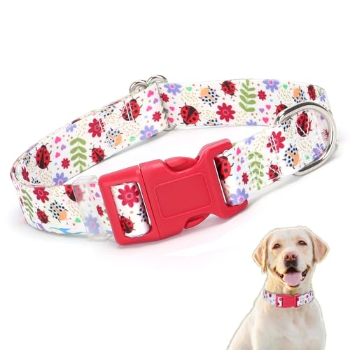 ^ 킢fUC NCbN[XobN \tgiC  p ߉\ ^  ^ ybg ĂƂ M