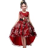 WEONEDREAM Ball Gowns for Princess Size 3T-4T High Low Flower Girl Dresses for Girls Beauty Cute Knee Long Train Sleeveless Little Baby Children Girl Dress Tulle Satin (PBurgundy, 110)