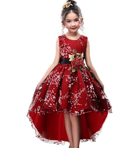 Little Girl Dress Size 5 6 Formal Special Occasion Party Graduation Dresses 5T Lace Tutu Tulle Ball Gown for Holiday Age of 6 Weddings Bridesmaid Dresses for Girls Tank (PBurgundy, 120)