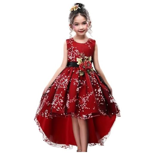 Little Girl Dress Size 5 6 Formal Special Occasion Party Graduation Dresses 5T Lace Tutu Tulle Ball Gown for Holiday Age of 6 Weddings Bridesmaid Dresses for Girls Tank (PBurgundy, 120)