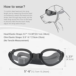   Enjoying-Dog-Goggles-Replaceable-Dog-Eye-Protection-Glasses-Adjustable-Strap-UV-Protection-Sunglasses-for-Medium-Dogs