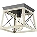 Progress Lighting P350022-143 Briarwood Graphite One-Light Flush Mount,